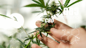 CBD